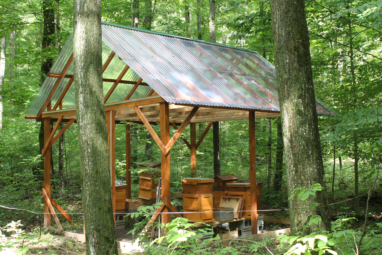 The Bee House